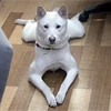 프로필 사진